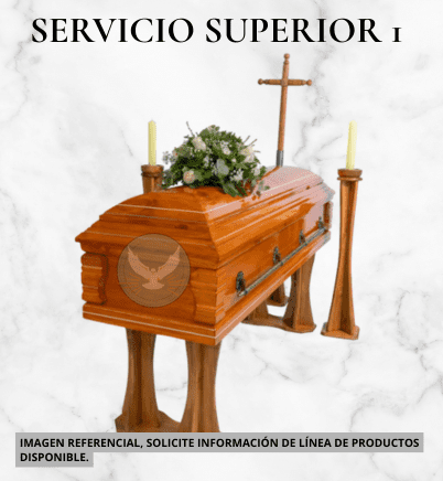 Servicio s1